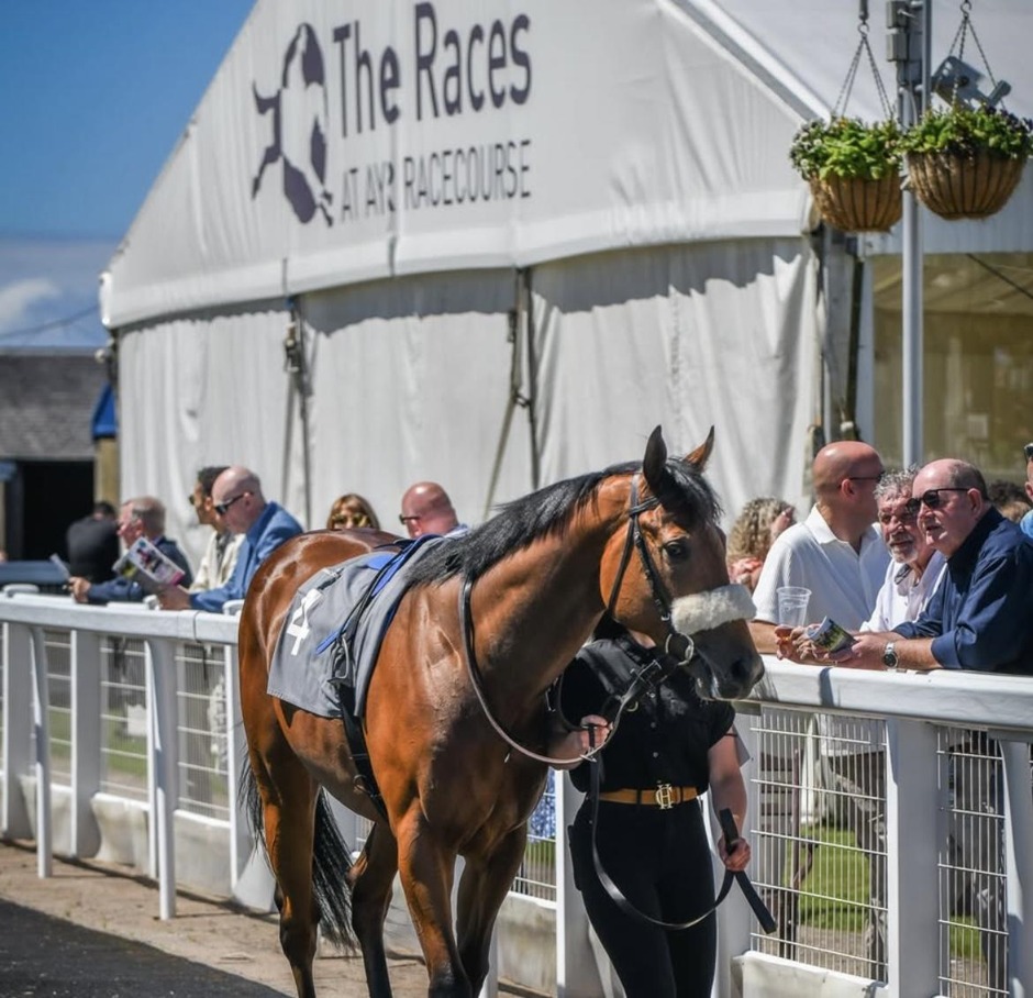 Ayr racecards 5 july Sunday Flat Preview