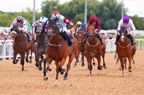 Southwell Race Cards 5 July preview of Sunday's eight-race meeting