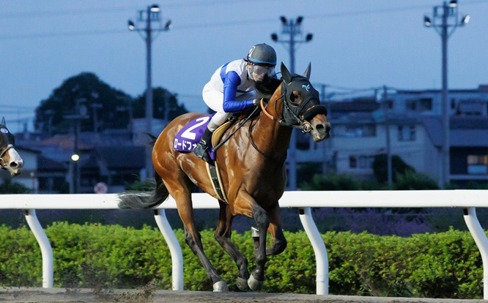 Kitakyushu Kinen G3 2026 Preview: Kokura 1200m Sprint