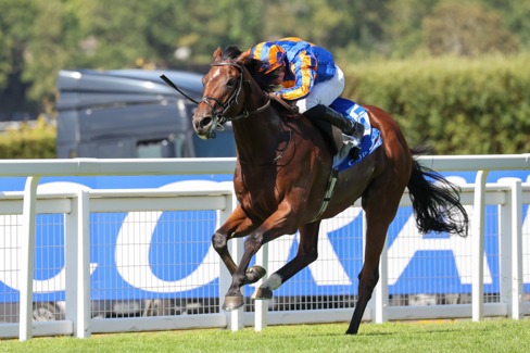 Roscommon Race Cards 6 July featuring the full Roscommon Racecourse programme