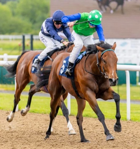 Wolverhampton Race Cards 6 July evening fixture preview at Wolverhampton Racecourse