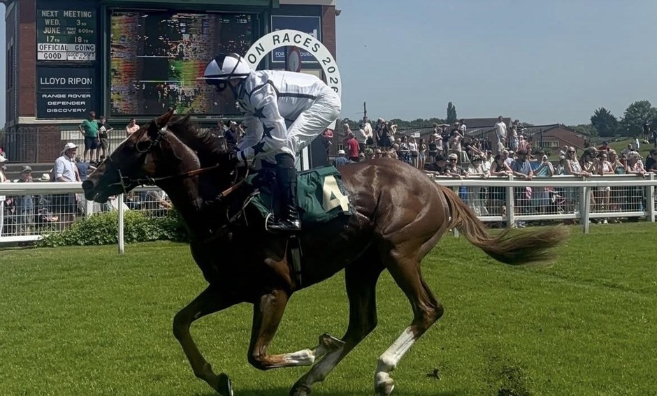 Ripon racecards 6 July Monday flat turf racing action at Ripon Racecourse