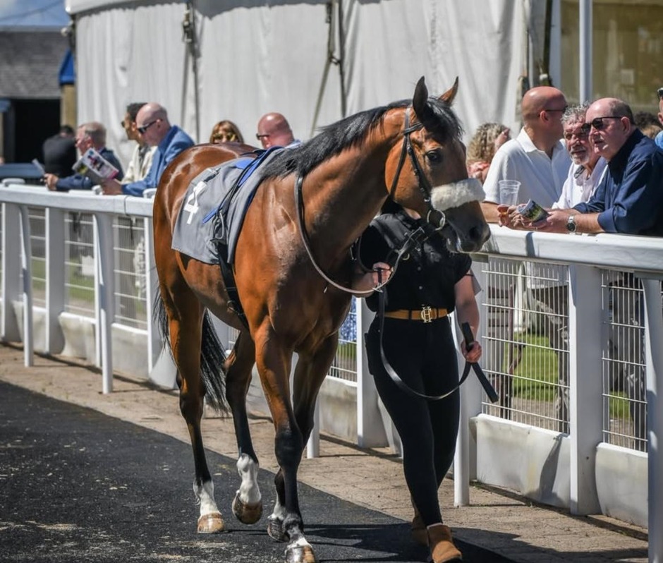 Ayr race results 5 july Sunday Highlights