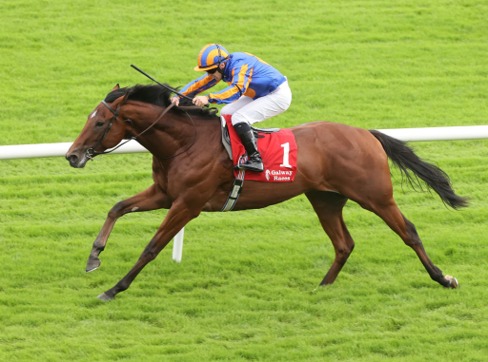 Tramore Race Cards 7 July featuring the complete seven-race programme at Tramore Racecourse