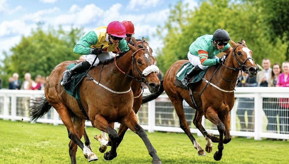 Ripon race results 6 july Monday Highlights