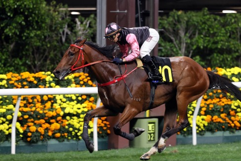 Happy Valley Race Cards 8 July nine-race fixture preview