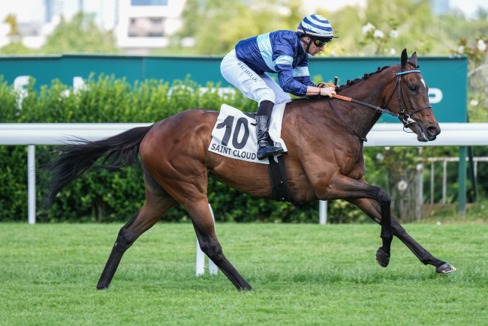 Saint cloud Race Cards 8 July preview of the Saint-Cloud eight-race fixture