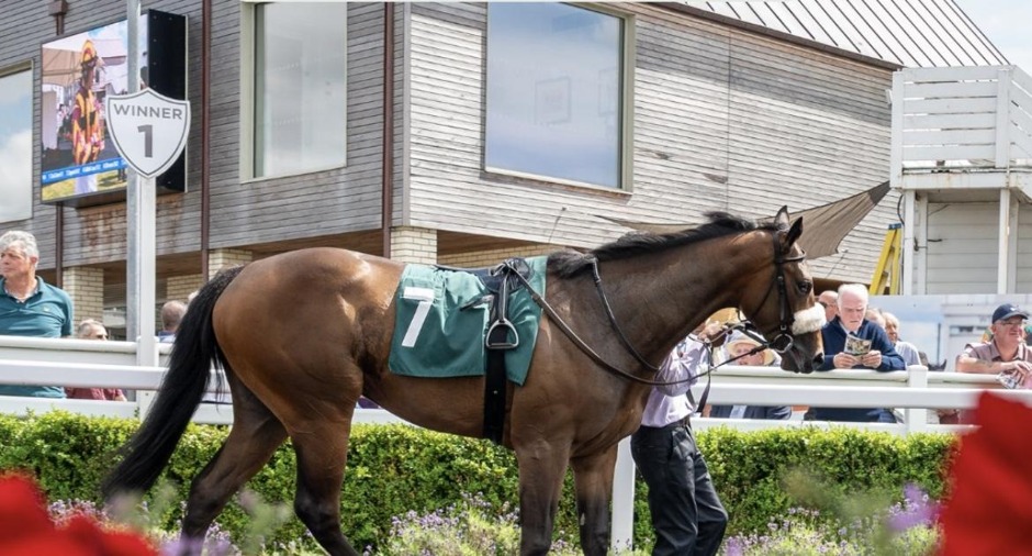 Catterick Bridge racecards 8 july Wednesday Flat Preview