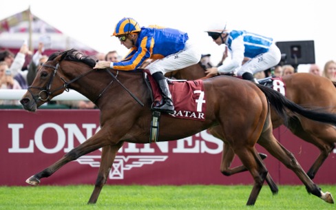 Leopardstown Race Cards 9 July preview at Leopardstown Racecourse