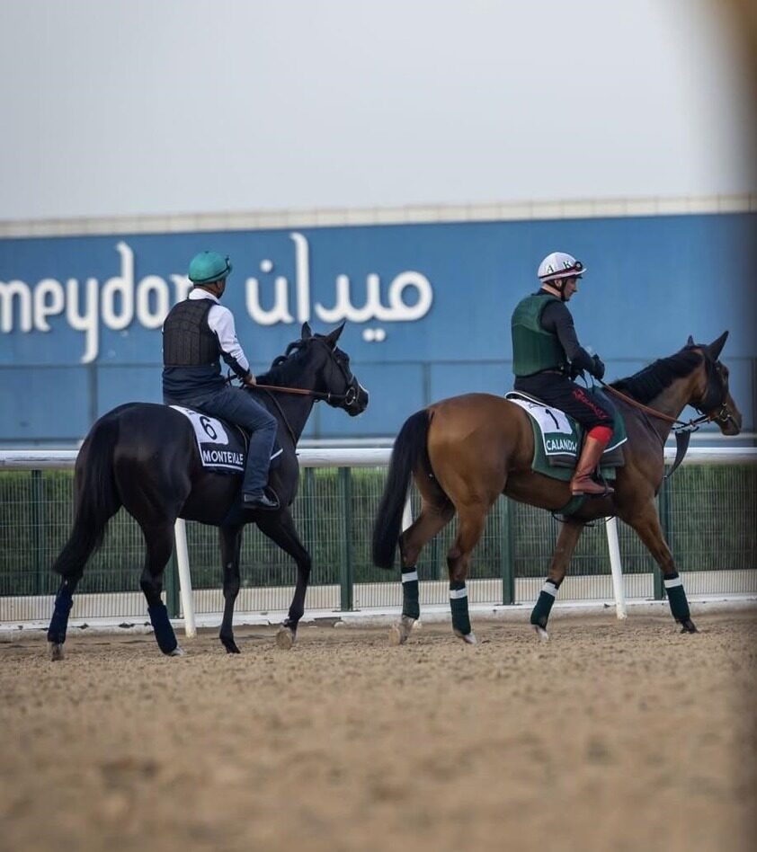 ParisLongchamp racecards 9 july 2026 Flat Preview
