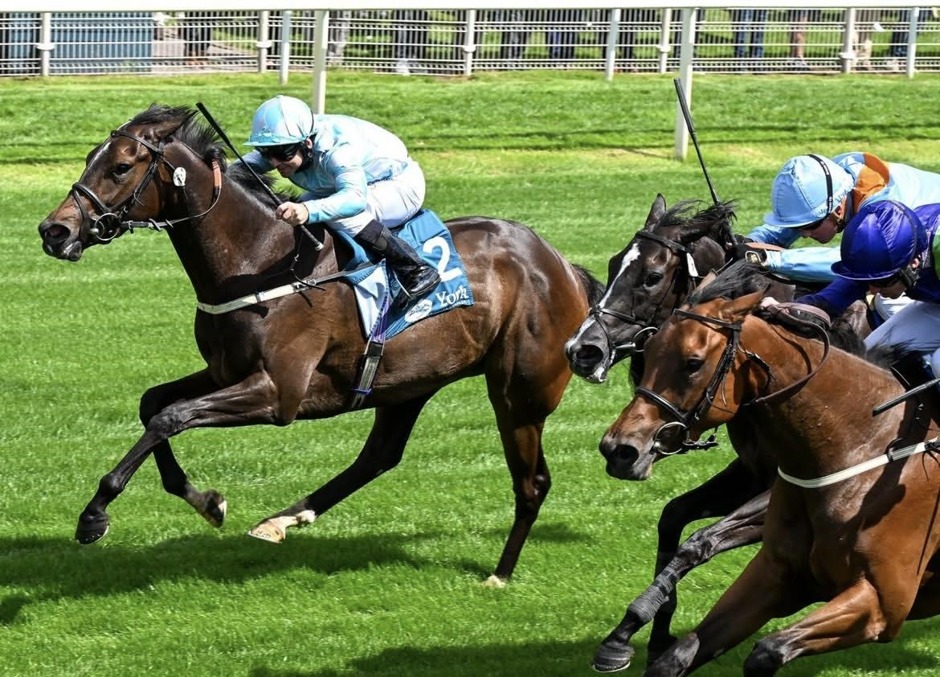 York racecards 10 july Friday Flat Preview