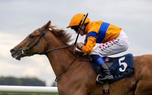 Cork Race Cards 10 July at Cork Racecourse featuring a seven-race National Hunt fixture.