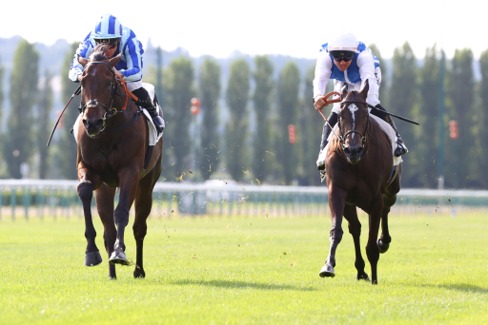 Compiegne Race Cards 10 July preview at Compiegne Racecourse