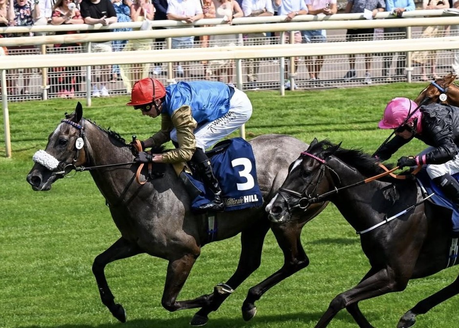Winning horse crosses the finish line during York Racecourse racing on 11 July 2026
