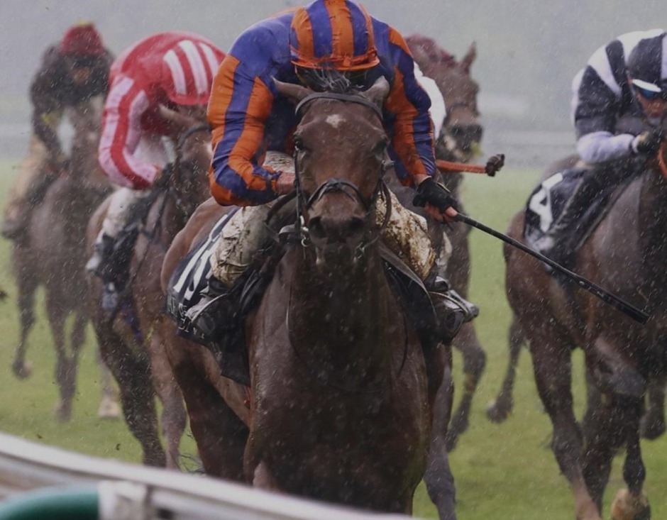 Horse racing action at Viséo Hippodrome in Zonza on 12 July 2026