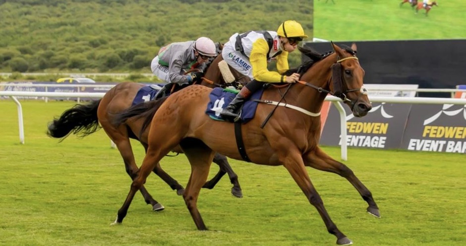 Ffos Las racecards 14 July 2026 Tuesday flat racing action at Ffos Las Racecourse