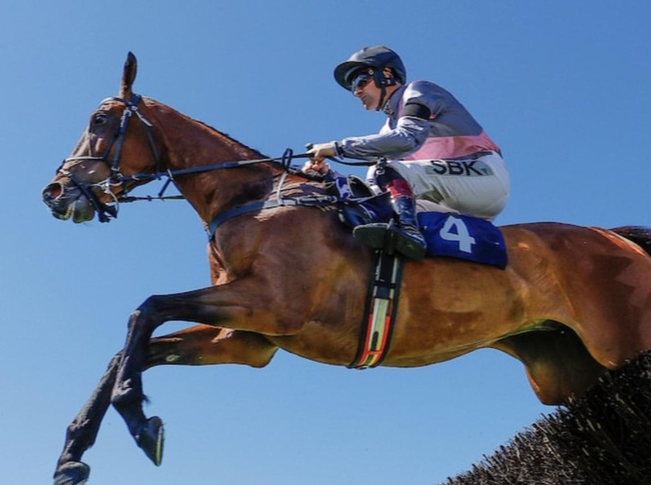Newton Abbot racecards 13 July Monday jump racing action at Newton Abbot Racecourse
