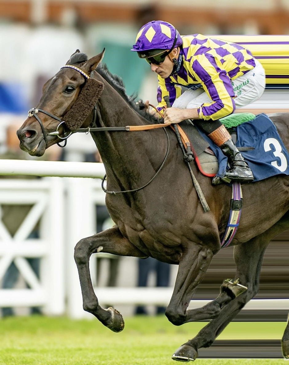 Lingfield Park racecards 13 July 2026 Monday evening all-weather racing on the Polytrack