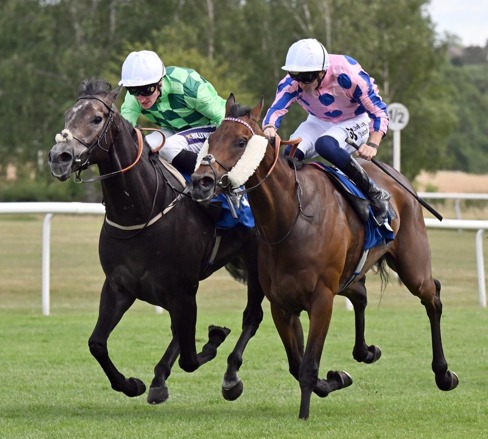 Leicester Race Cards 14 July preview at Leicester Racecourse