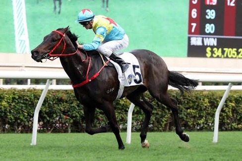 Happy Valley Race Cards 15 July featuring the complete nine-race programme under lights
