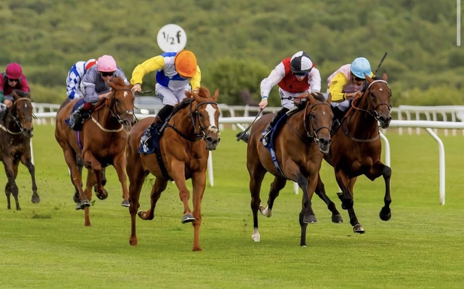 Winning horse crosses the finish line during Ffos Las racing on 14 July 2026