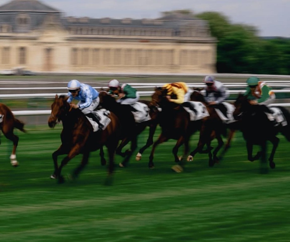 Clairefontaine racecards 15 July 2026 flat racing action at Clairefontaine Racecourse