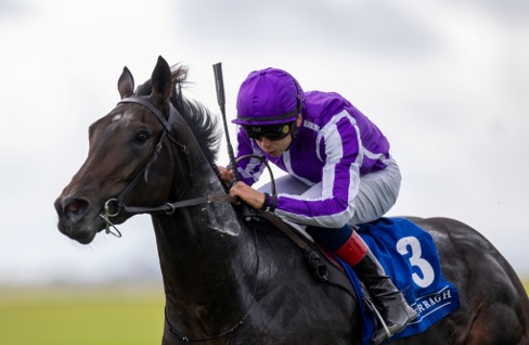 Leopardstown Race Cards 16 July featuring the Group 3 Meld Stakes and Thursday's eight-race programme