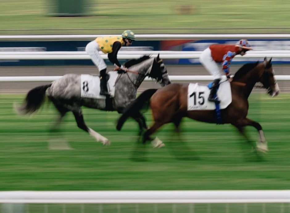 Compiègne racecards 16 July 2026 flat racing action at Compiègne Racecourse