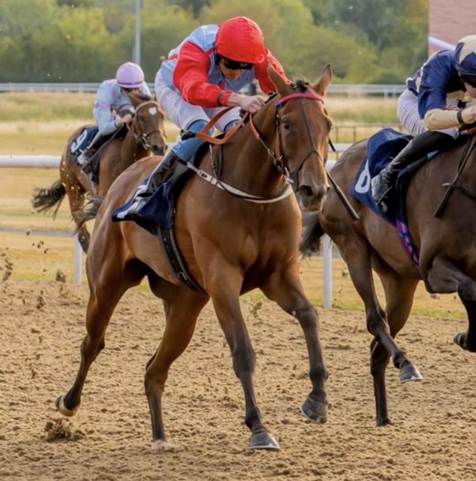 Wolverhampton racecards 30 July 2026 all-weather racing action at Wolverhampton Racecourse