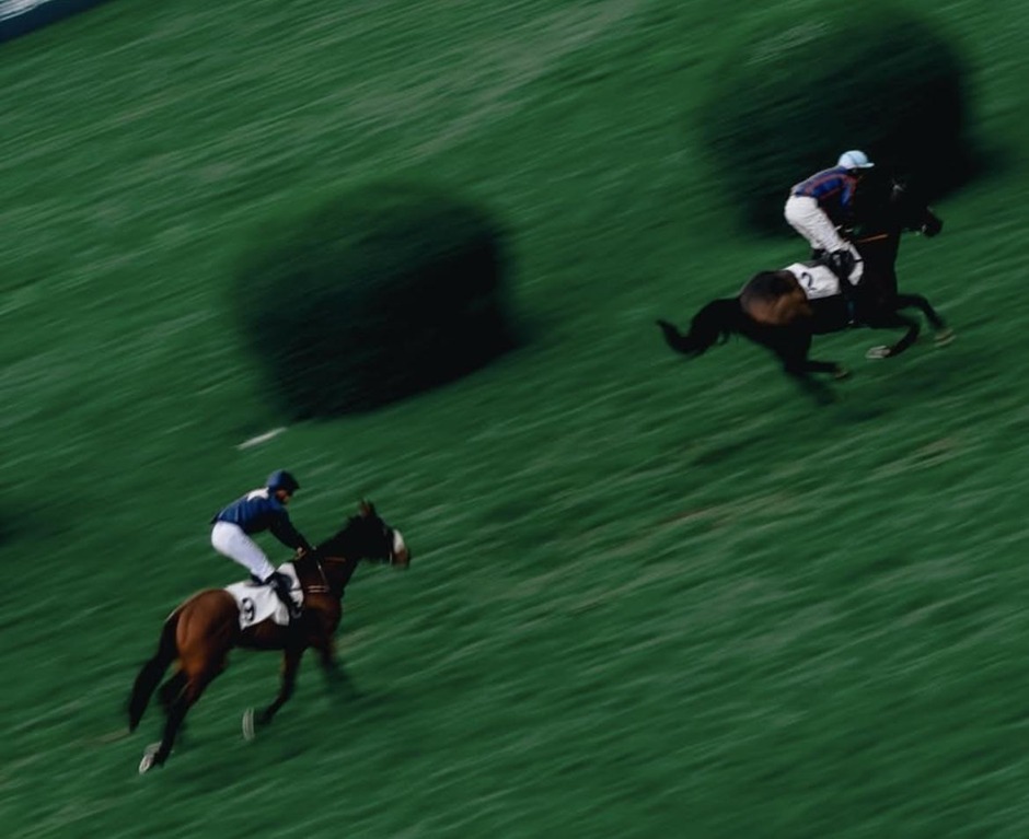 Dieppe racecards 30 July 2026 flat racing action at Dieppe Racecourse