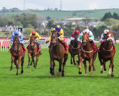 Musselburgh Race Cards 31 July preview at Musselburgh Racecourse