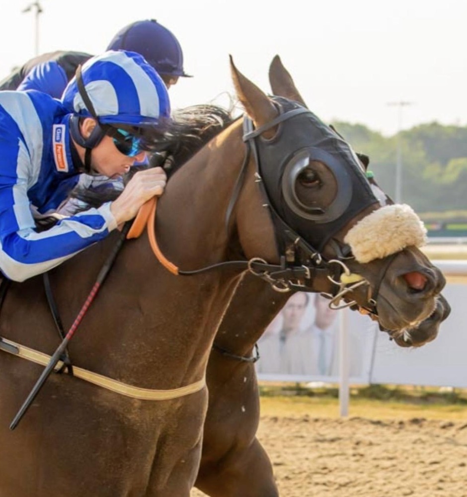 Winning horse crosses the finish line during Wolverhampton racing on 30 July 2026