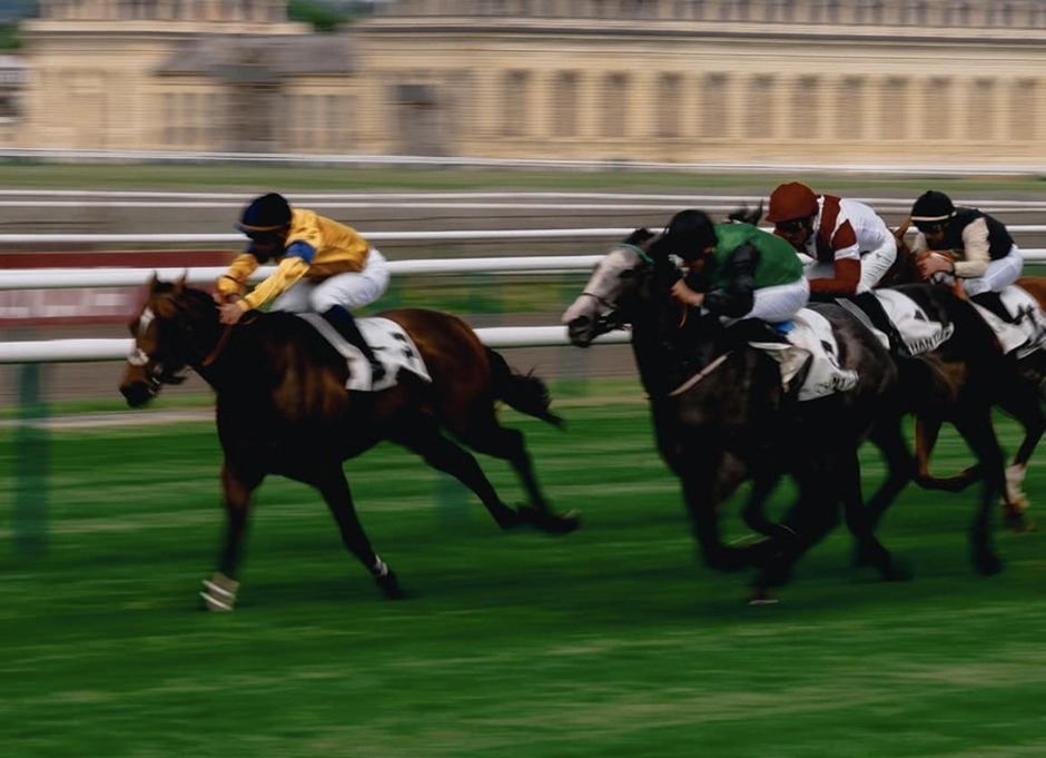 Senonnes racecards 31 July 2026 flat racing action at Senonnes Racecourse