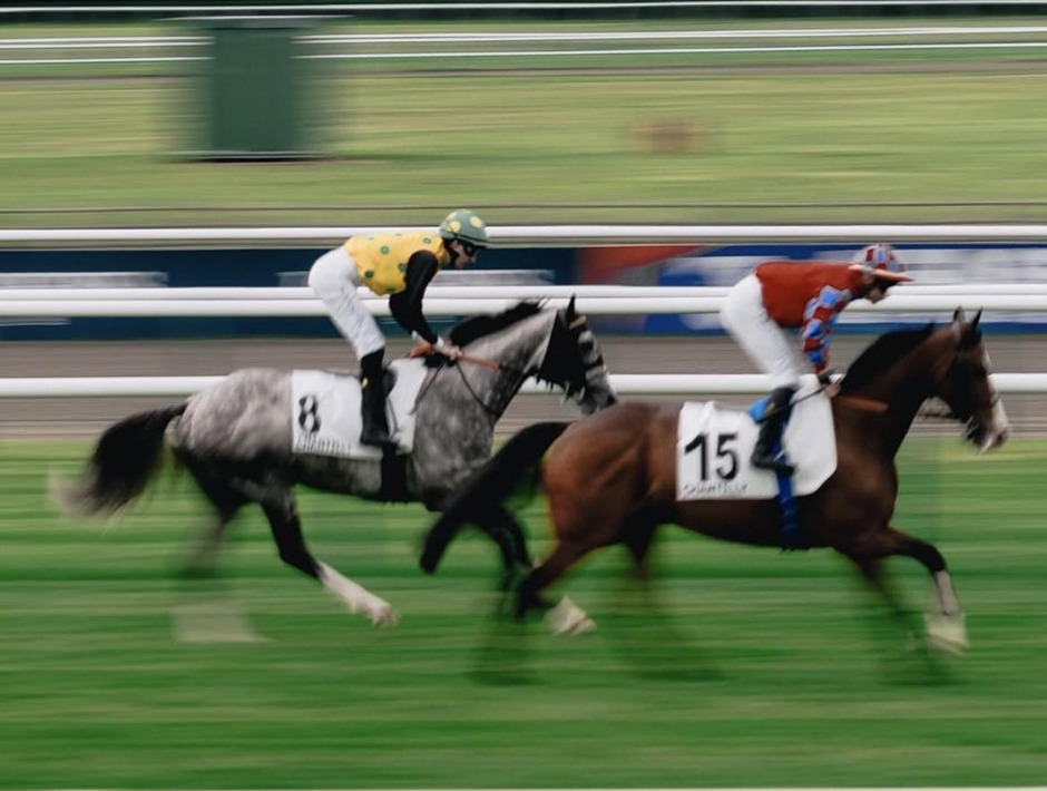 Dax racecards 31 July 2026 flat racing action at Dax Racecourse