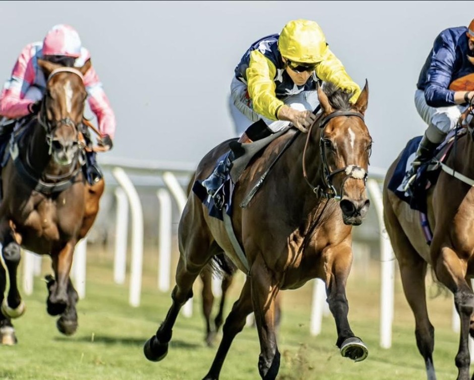 Bath racecards 31 July 2026 flat racing action at Bath Racecourse