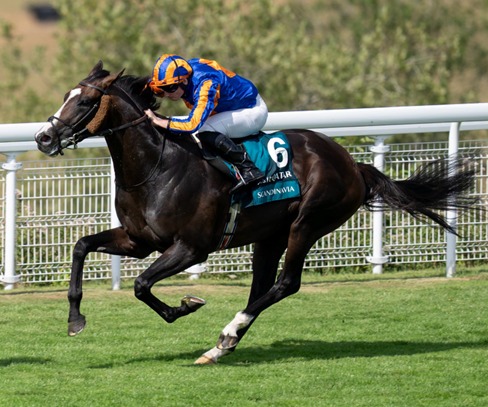 Galway Race Cards 1 August featuring Saturday's eight-race programme at Galway Racecourse
