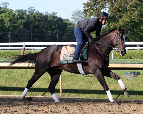 Saratoga Race Cards 1 August at Saratoga Racecourse featuring a 12-race programme