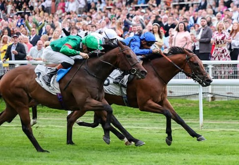 Hamilton Race Cards 1 August at Hamilton Park seven-race fixture