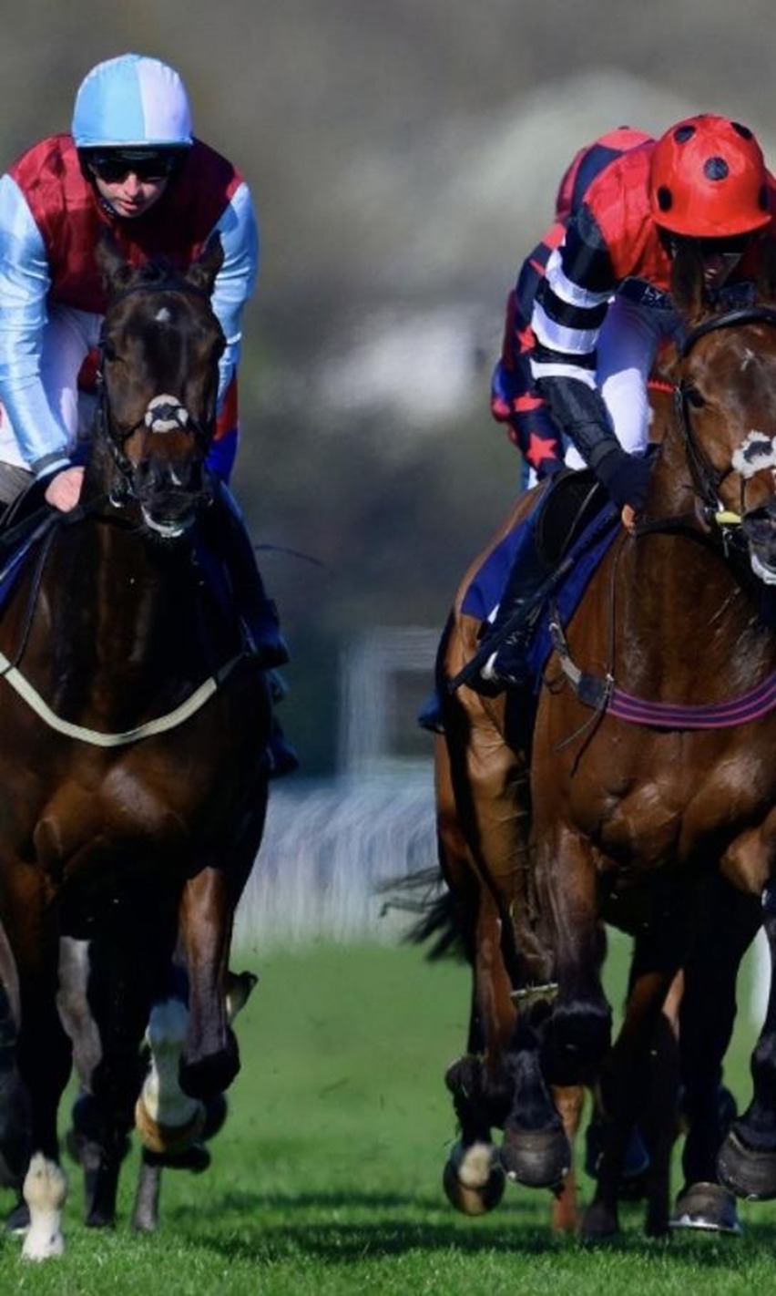 Newton Abbot race results 19 July 2026: Results and Highlights