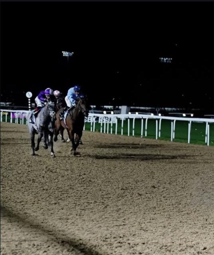 Windsor racecards 20 July 2026 Monday flat racing at Windsor Racecourse