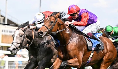 Salisbury Race Cards 21 July evening flat racing meeting at Salisbury Racecourse