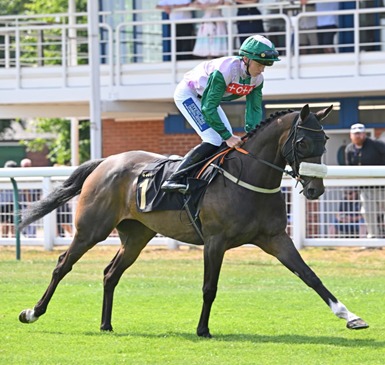 Nottingham Race Cards 21 July at Nottingham Racecourse
