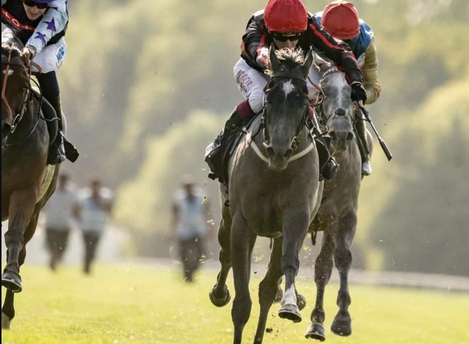 Winning horse crosses the finish line during Windsor racing on 20 July 2026