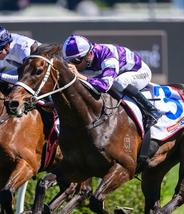 Canterbury Park Race Cards 22 July seven-race meeting preview
