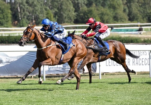 Leicester Race Cards 22 July six-race Flat meeting preview