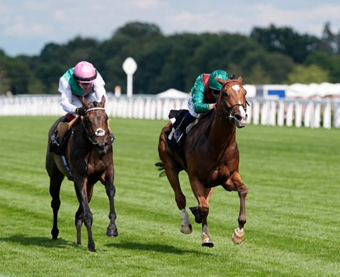 Ascot Race Cards 24 July featuring the six-race Friday Flat programme