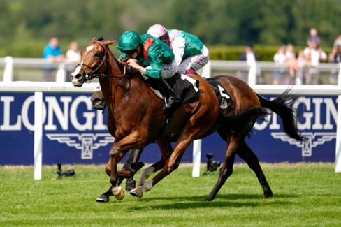 Ascot Race Cards 25 July featuring the King George VI and Queen Elizabeth Stakes