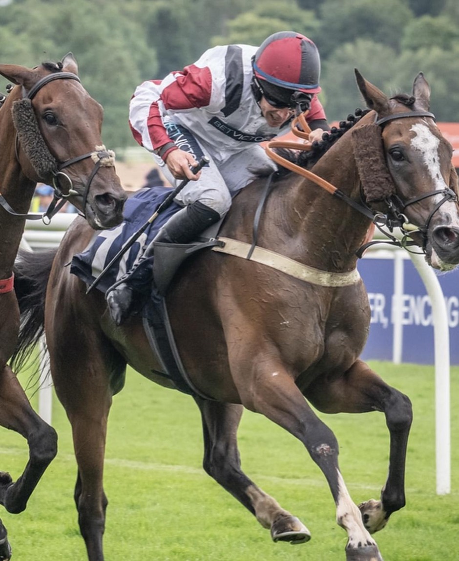 Uttoxeter racecards 26 July 2026 Sunday jump racing at Uttoxeter Racecourse
