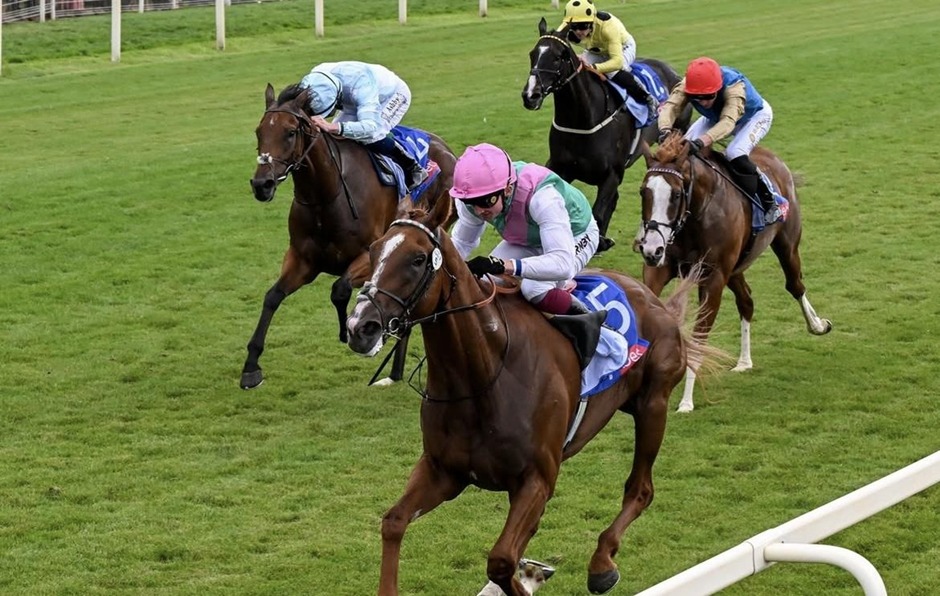 Winning horse crosses the finish line during York racing on 25 July 2026