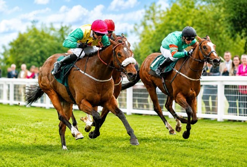 Ripon Racecourse (Facebook)